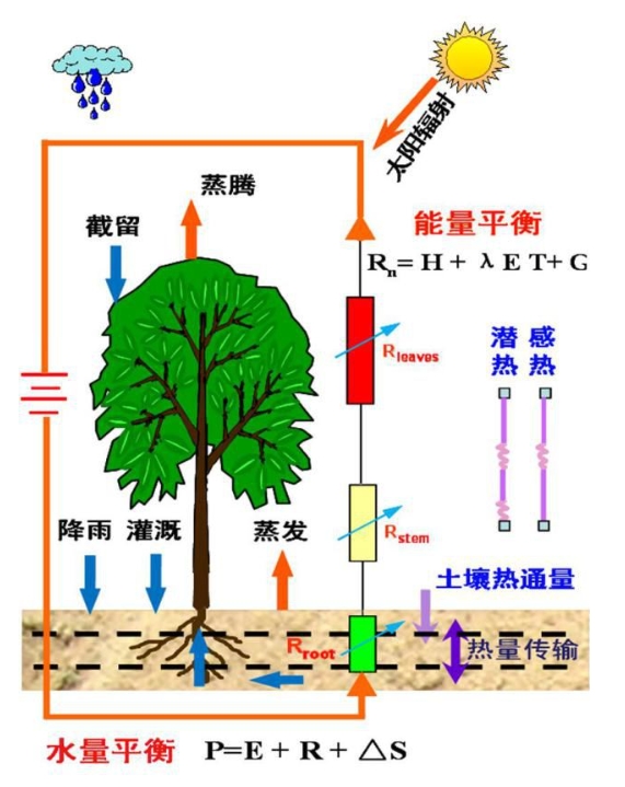 蒸散量测定方法及原理！