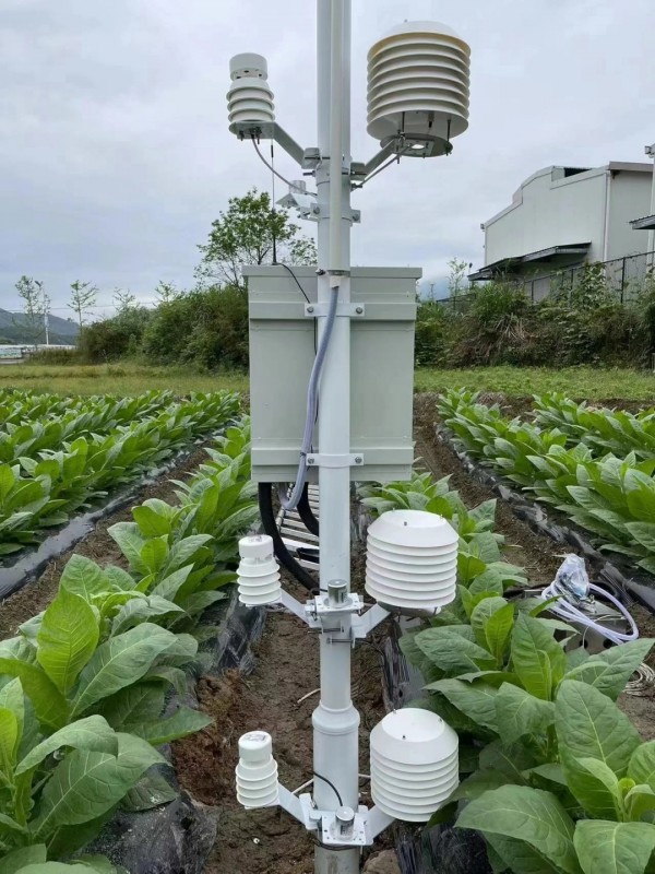 云南烟草种植基地墒情气象监测系统安装落成！